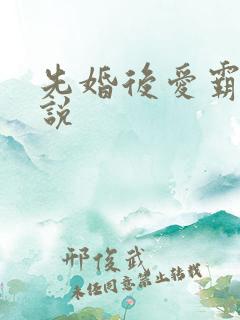 先婚后爱霸总小说