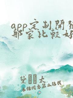 app定制开发那家比较好