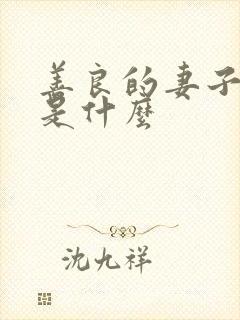善良的妻子讲的是什么