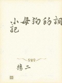 小母狗的调教日记