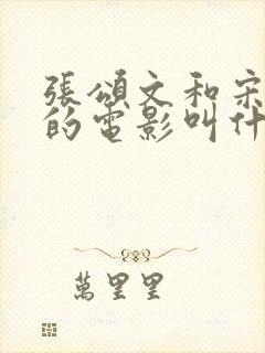 张颂文和宋佳演的电影叫什么名字