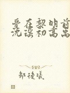 爱在黎明前降落沈瑶初高禹川