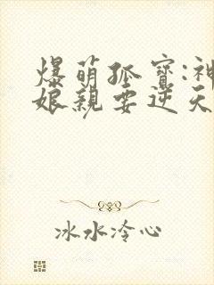 爆萌孤宝:神医娘亲要逆天