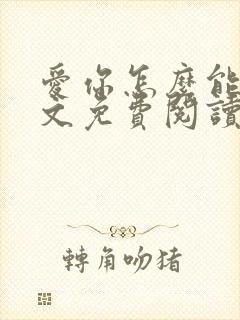 爱你怎么能了全文免费阅读