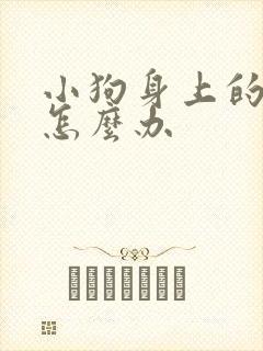 小狗身上的蜱虫怎么办