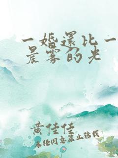 一婚还比一婚高 晨雾的光