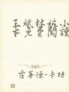 王斌林婉小说全本免费阅读无弹窗