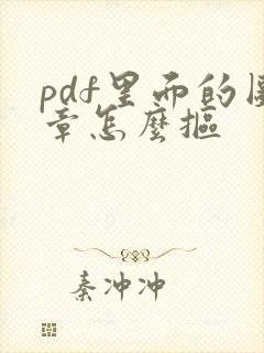 pdf里面的图章怎么抠