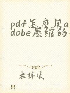 pdf怎么用adobe压缩的小一点