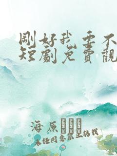 刚好我要不爱你短剧免费观看