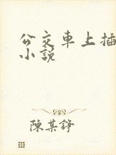 公交车上插进去小说