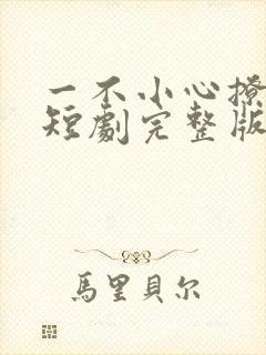 一不小心撩错人短剧完整版