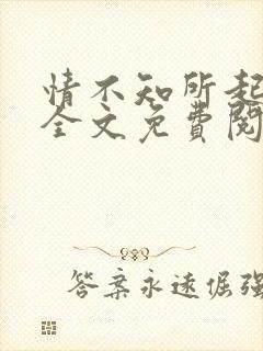 情不知所起小说全文免费阅读