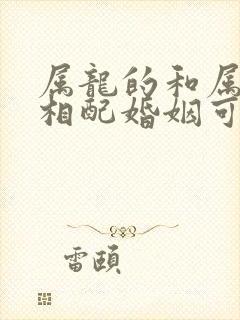 属龙的和属马的相配婚姻可以吗
