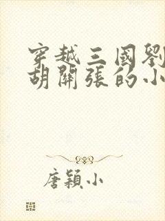 穿越三国刘芒截胡关张的小说