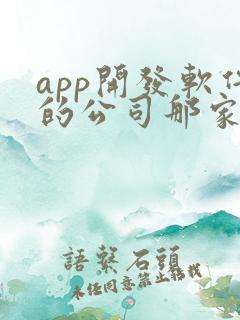app开发软件的公司那家好