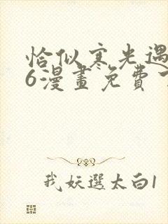 恰似寒光遇骄阳6漫画免费下拉式