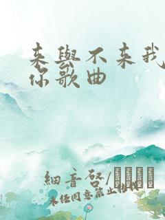 来与不来我都等你歌曲