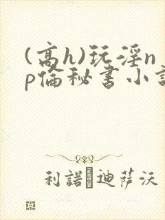 (高h)玩淫np伦秘书小说