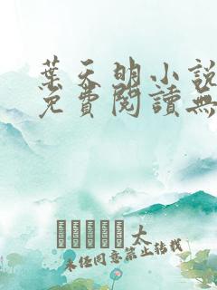 叶天明小说全文免费阅读无弹窗最新章节