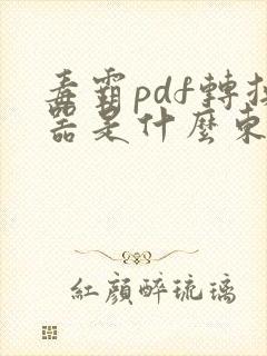 毒霸pdf转换器是什么东西