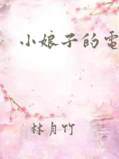小娘子的电视剧