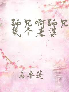 师兄啊师兄长寿几个老婆