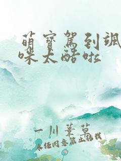 萌宝驾到飒爽妈咪太酷啦