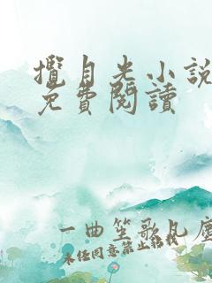 揽月光小说全文免费阅读