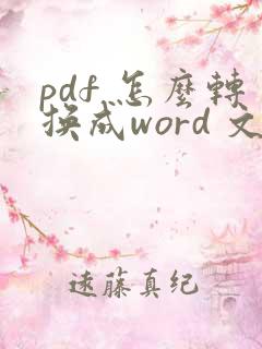 pdf 怎么转换成word 文档 python