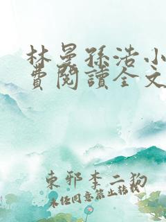 林曼孙浩小说免费阅读全文最新章节