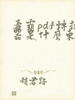 毒霸pdf转换器是什么东西