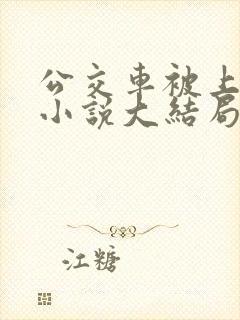公交车被上高潮小说大结局