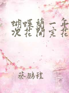 蝴蝶兰一年开几次花开完花怎样处理
