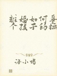 离婚如何争夺两个孩子的抚养权