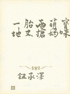 一胎两萌宝:爹地又抢妈咪 小说