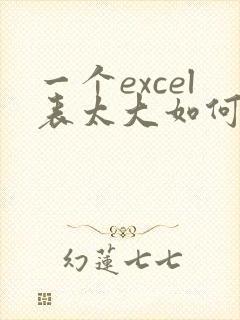 一个excel表太大如何缩小内存