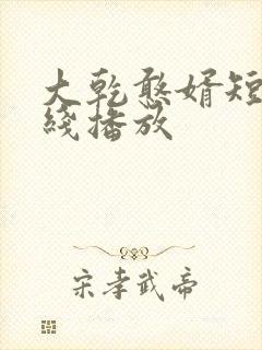 大乾憨婿短剧在线播放