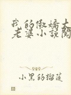 我的傲娇大小姐老婆小说阅读全文