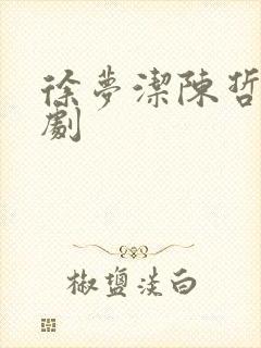 徐梦洁陈哲远的剧
