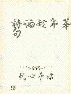诗酒趁年华前一句