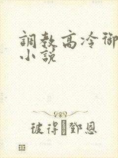 调教高冷御姐h小说