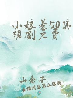 小娘惹50集电视剧免费