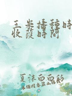 玉米播种时间和收获时间