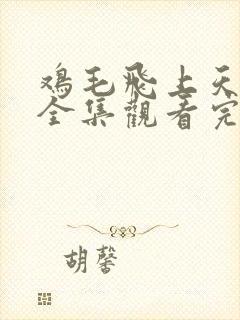 鸡毛飞上天免费全集观看完整版