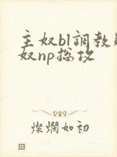 主奴bl调教贱奴np总攻