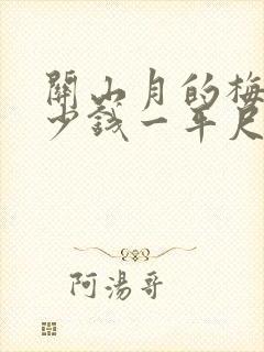 关山月的梅花多少钱一平尺