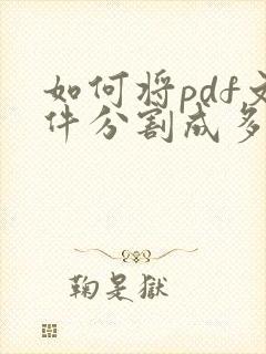 如何将pdf文件分割成多个