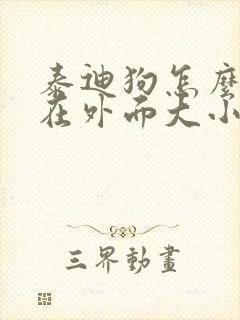 泰迪狗怎么训练在外面大小便