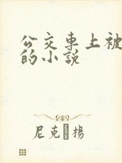 公交车上被高潮的小说